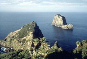 Cape Brett, Bay of Islands